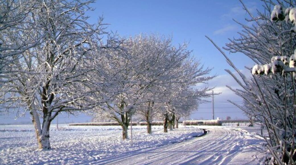 Winter scene on Luddington Road