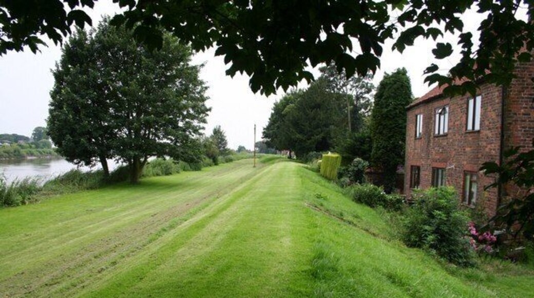 Trent Bank Looking south from St.Oswald's churchyard along the Trent Bank