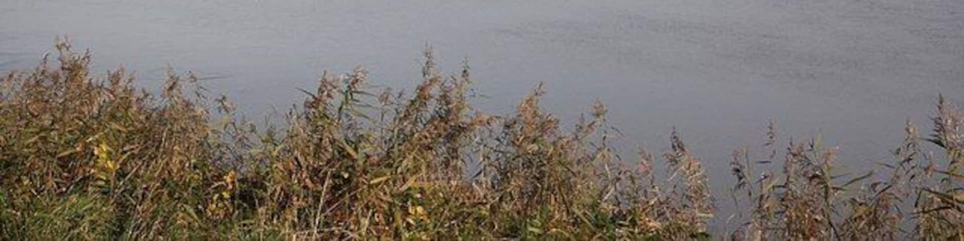 River Trent Looking north near Keadby Lock