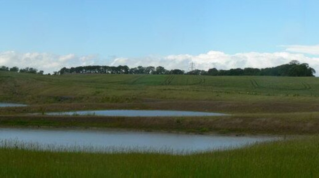 New ponds, Newland. You won't find these on the OS Map, or Google Earth. This area was extensively mined with opencast collieries, and clay workings for brick making. It is now being reclaimed, partly by landfill with Wakefield's rubbish. These ponds are approximately on the site of the brickworks shown on the OS map.