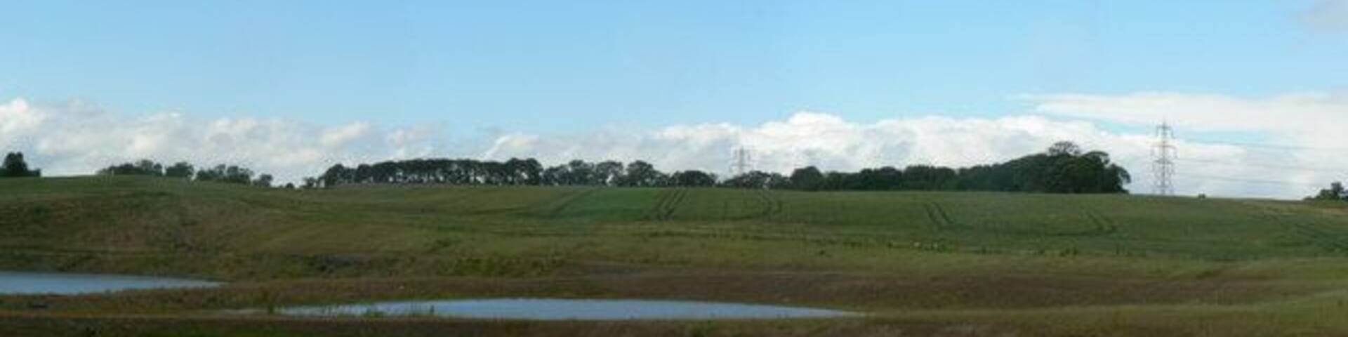 New ponds, Newland. You won't find these on the OS Map, or Google Earth. This area was extensively mined with opencast collieries, and clay workings for brick making. It is now being reclaimed, partly by landfill with Wakefield's rubbish. These ponds are approximately on the site of the brickworks shown on the OS map.