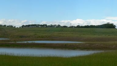 New ponds, Newland. You won't find these on the OS Map, or Google Earth. This area was extensively mined with opencast collieries, and clay workings for brick making. It is now being reclaimed, partly by landfill with Wakefield's rubbish. These ponds are approximately on the site of the brickworks shown on the OS map.
