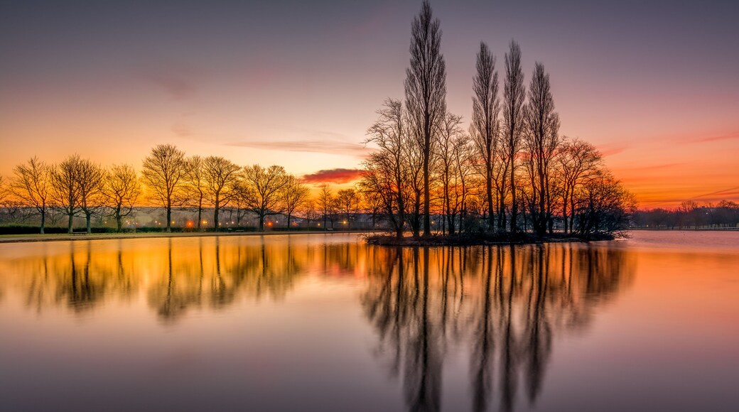 A calm lake reflecting trees and a sunset sky.