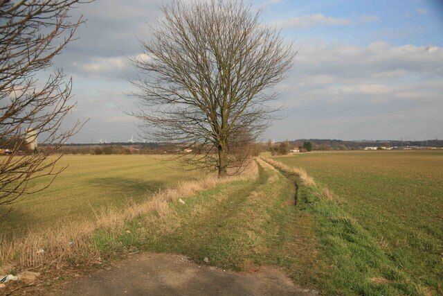 Looking towards the River Trent The river is out of view straight ahead . This is a field access track only.