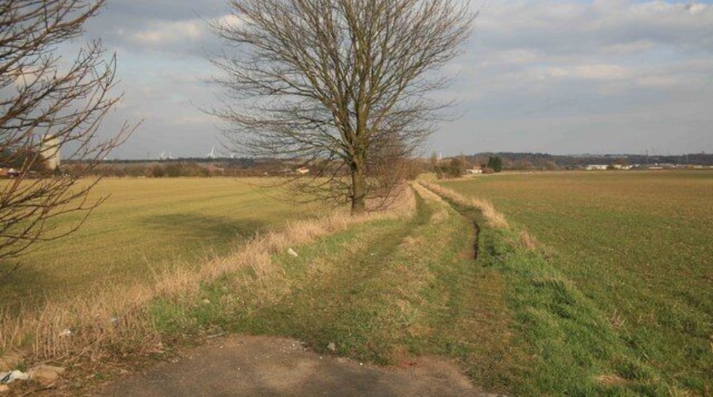 Looking towards the River Trent The river is out of view straight ahead . This is a field access track only.
