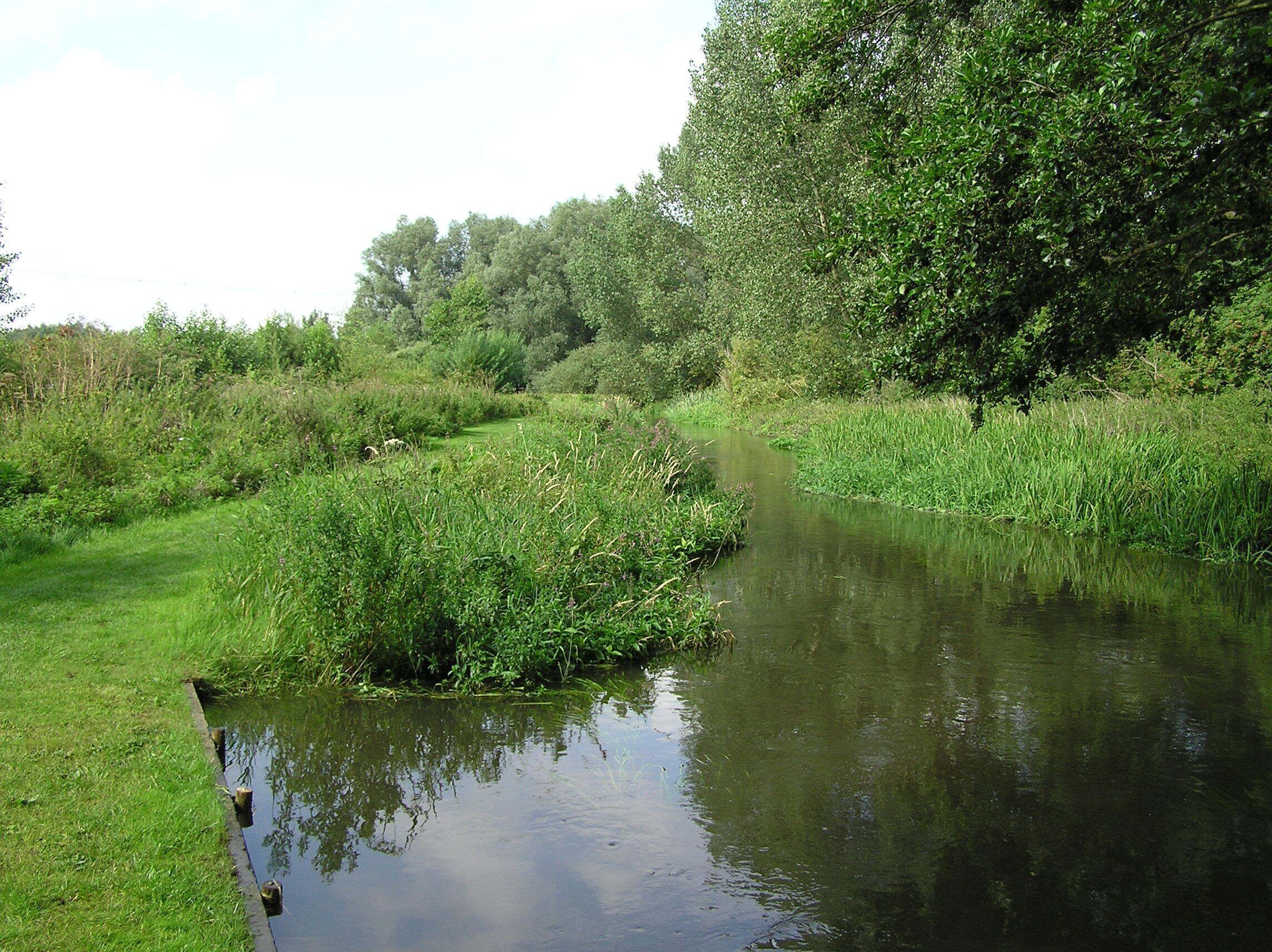 River Hiz - high water after heavy rain - 7th August, 2009