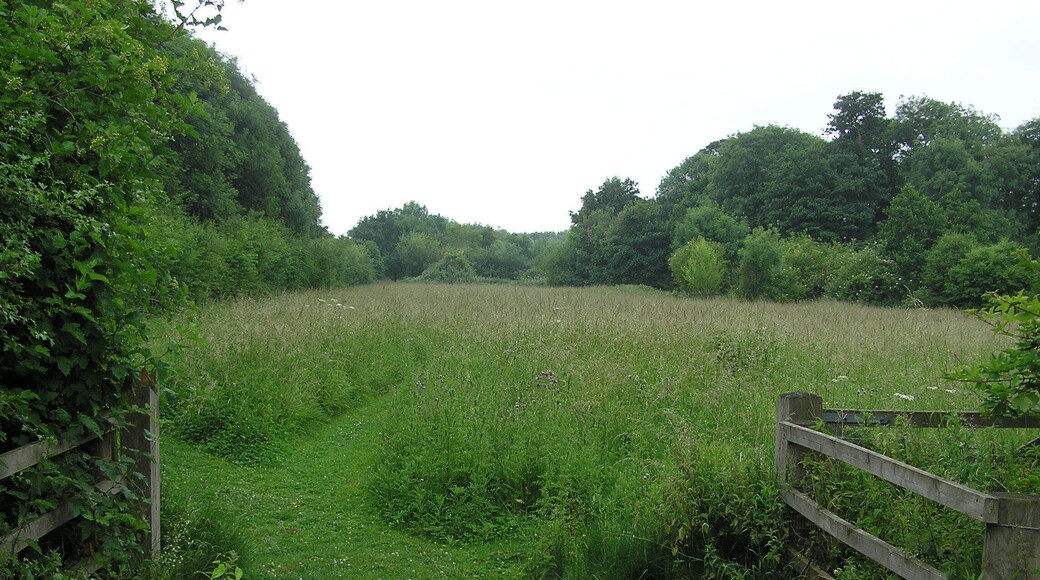 Glebe Meadows - June 2009