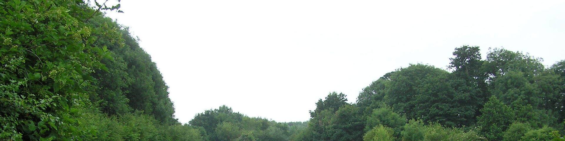 Glebe Meadows - June 2009