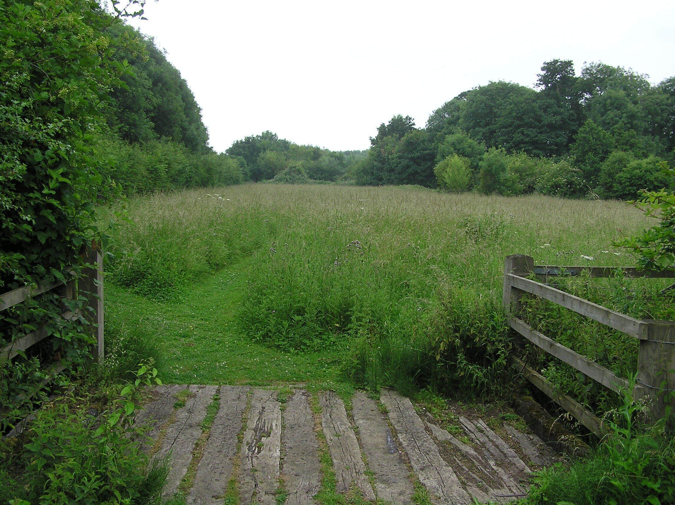 A rustic wooden gate leading into a lush green field with dense trees in the background.