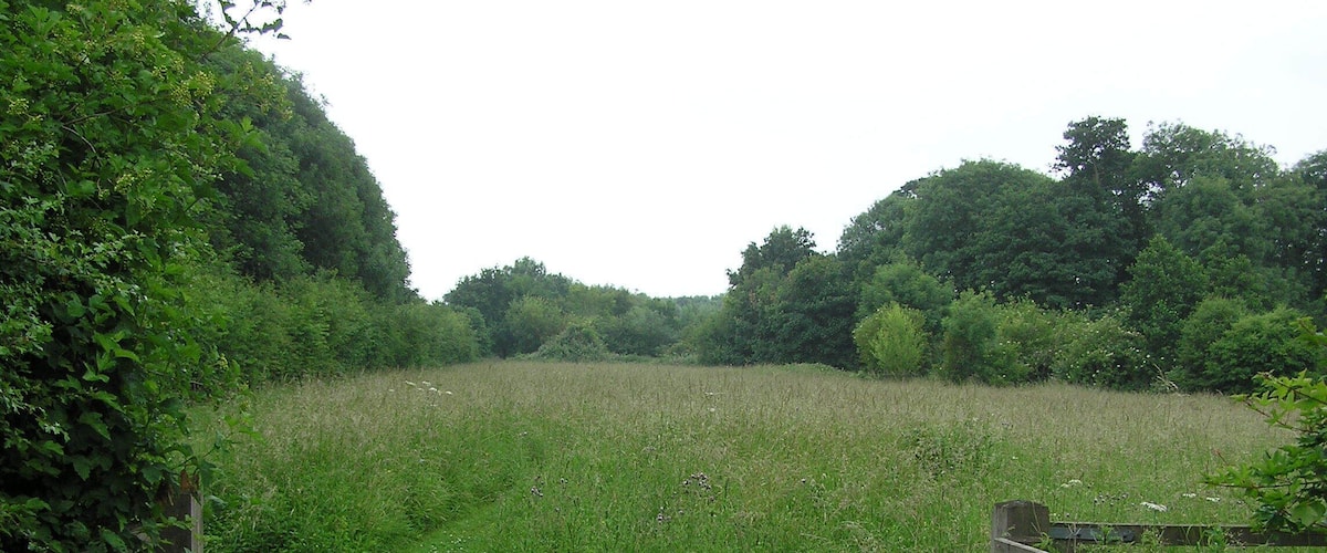 A rustic wooden gate leading into a lush green field with dense trees in the background.