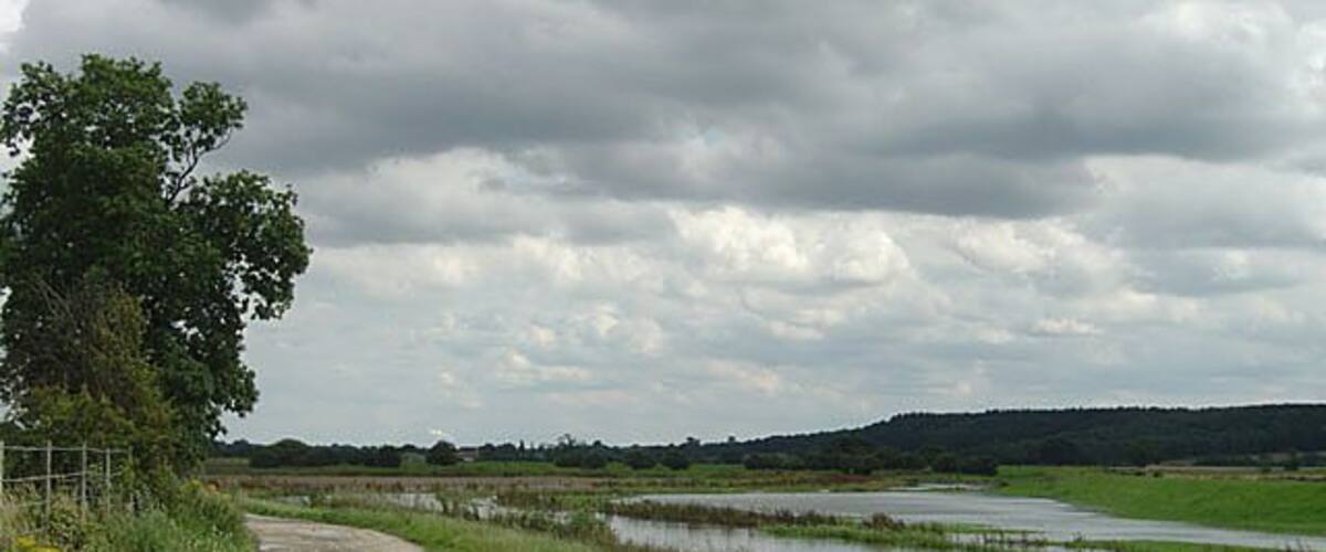 A rural dirt path beside a water body, with grassy fields and a cloudy sky.