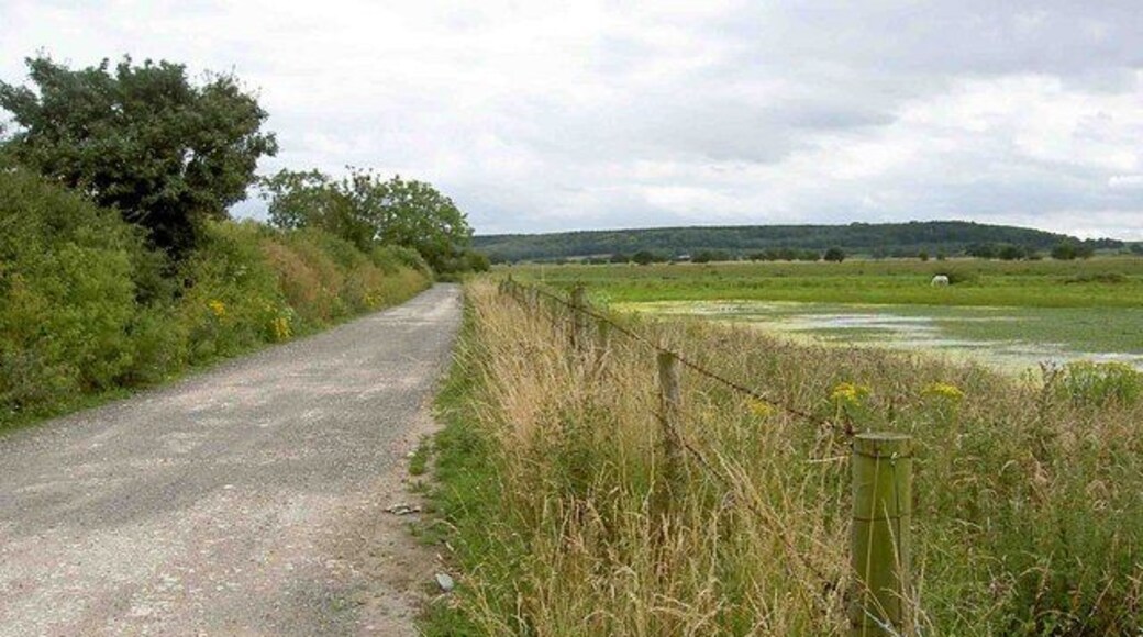 Byway to the River Idle, Newington