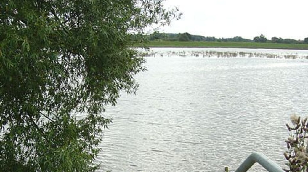Drainage outfall The lower railings mark the outlet of the Austerfield and Low Common Drains into the flood plain of the River Idle. Fortunately the amount of water on the other side is not high so there has been no flooding. These sort of water levels are probably normal in winter, but totally unexpected for July.