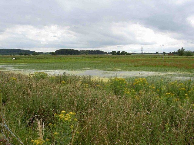 Newington wetlands In the distance Barrow Hill.