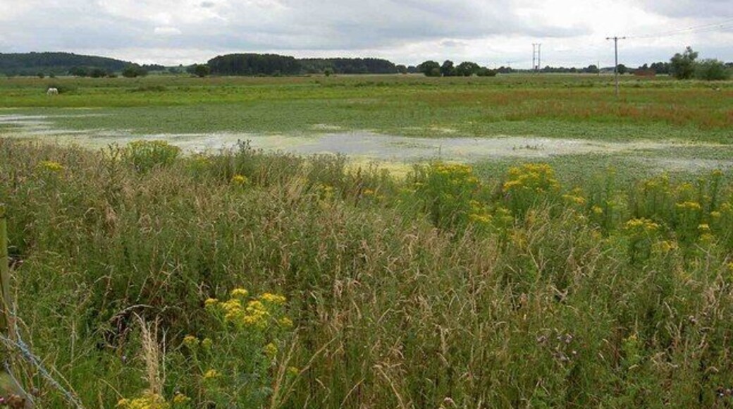 Newington wetlands In the distance Barrow Hill.
