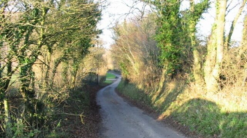View along Singledge Lane