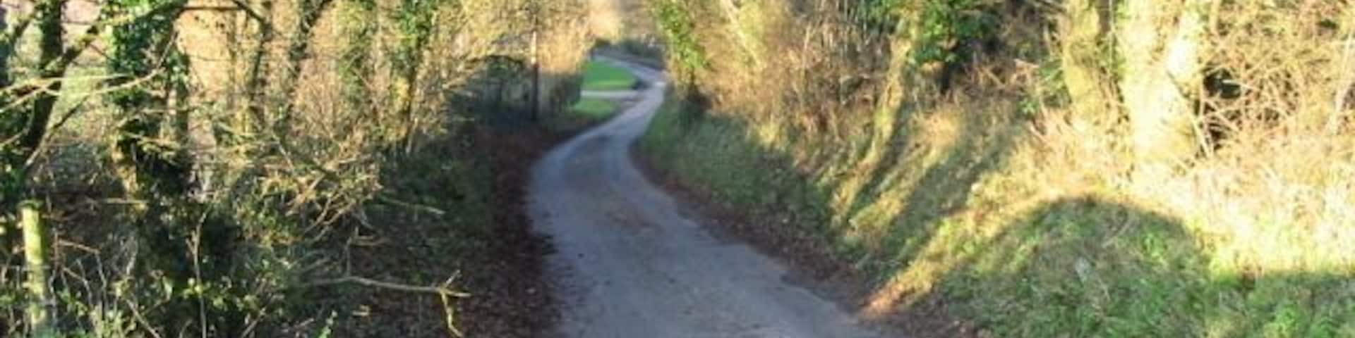 View along Singledge Lane