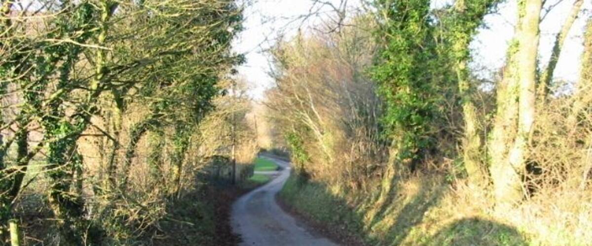 A narrow rural road flanked by trees and vegetation.