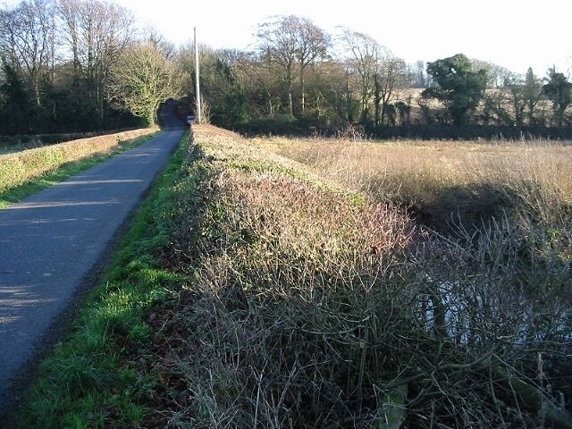 Lane and hedgerow The hedge was cut flat across the top and was probably 2 metres wide in places.