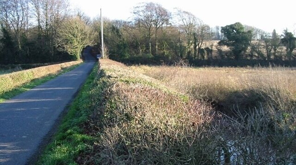 Lane and hedgerow The hedge was cut flat across the top and was probably 2 metres wide in places.