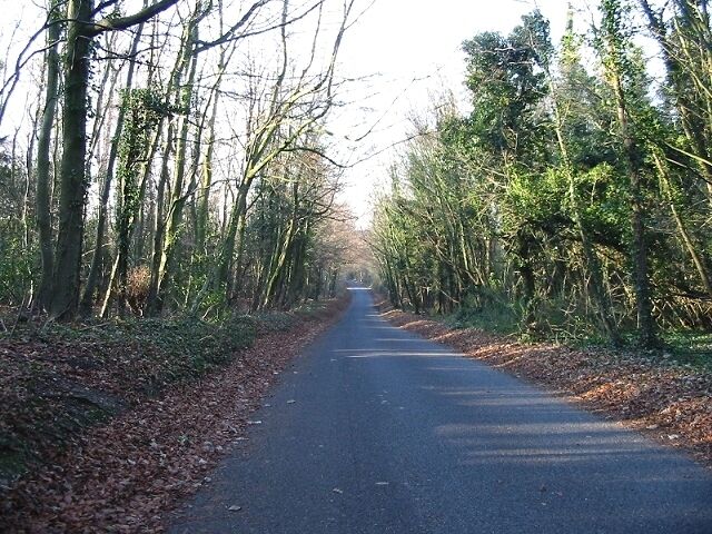Wooded Lane off the Coldred Road I believe this is a continuation of Long Lane from the Coldred Road to Golgotha.