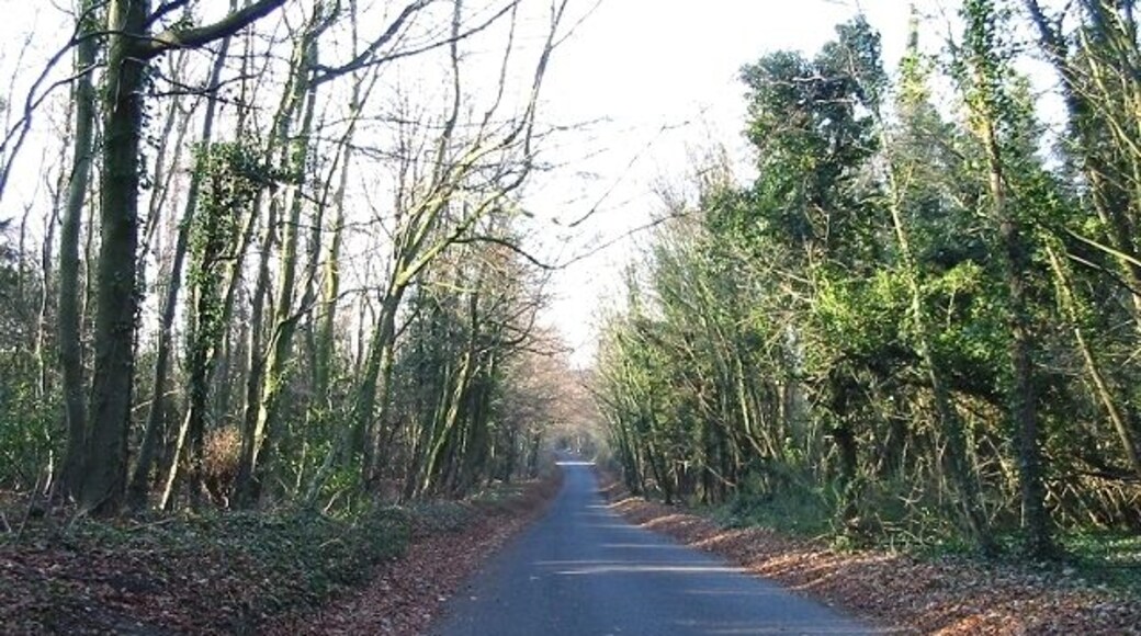 Wooded Lane off the Coldred Road I believe this is a continuation of Long Lane from the Coldred Road to Golgotha.