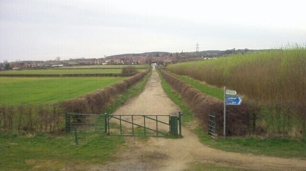 Lane to Harlington This lane heads into square SE4802 and forms part of the Trans Pennine Trail.