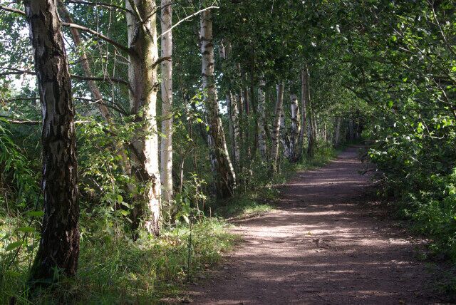 Former Railway, near Sothall There was once a tangle of railways through this part of the Rother Valley. This was the Great Central line between Nottingham and Sheffield; the parallel Midland line remains as an important freight route between Chesterfield and Rotherham. This section now forms part of the Trans-Pennine trail.