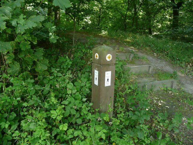 Alternative route - Potter Wood Plantation. The route up these steps would probably taken us closer to our next destination - Church Lane which runs up the eastern edge of Tankersley Manor. See previous image 898328