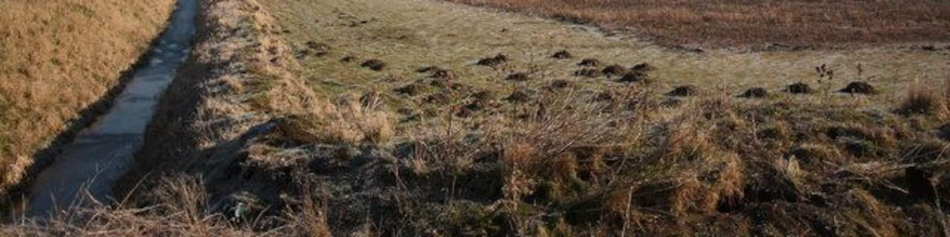 From Carr Lane. Looking towards Blyton from Carr Lane on a frosty March morning