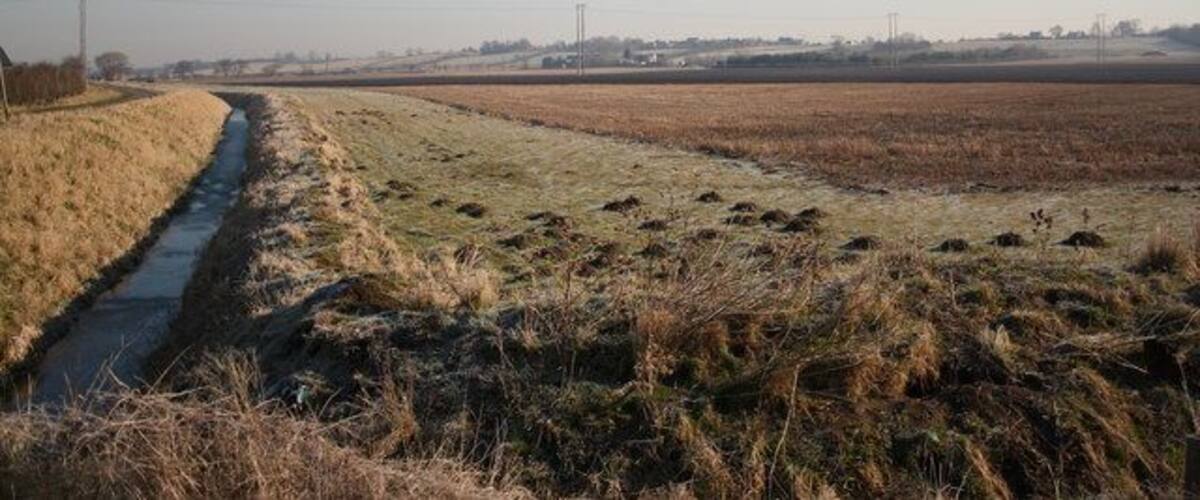 A rural landscape with a narrow water channel, fields, and distant power lines.