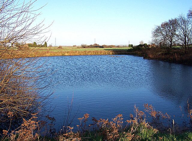 Pond in farmland I am not aware of a name for this tucked away pond. Today, it was home to a large population of mallard.
