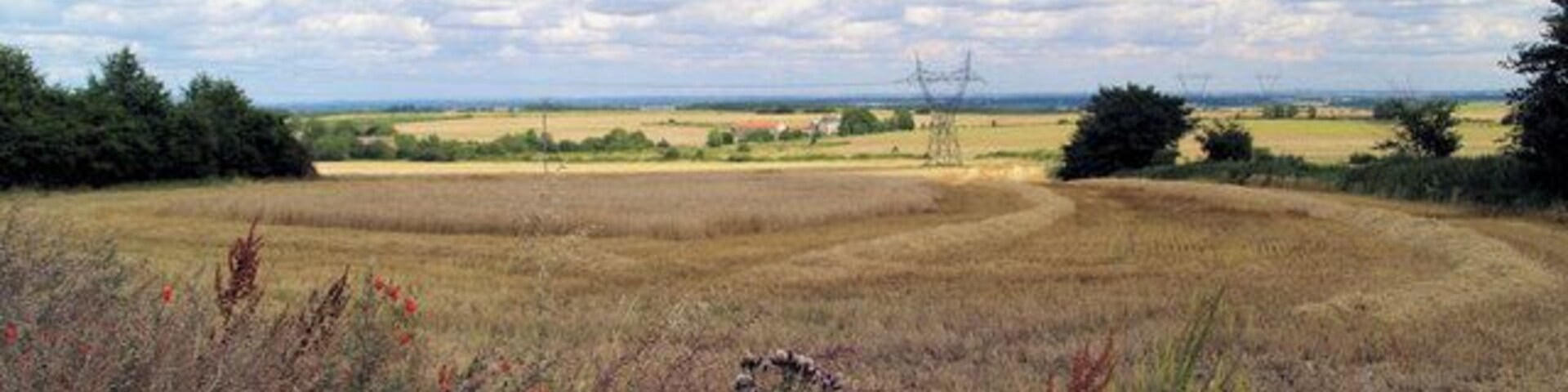 Electricity pylon in cornfield. The field is being harvested after 2 dry days, a record this summer.