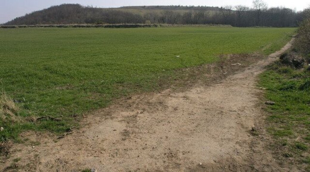 Footpath and Spoil Heap The footpath to the right runs along side the spoil heap of Maltby Colliery on its way to Maltby.