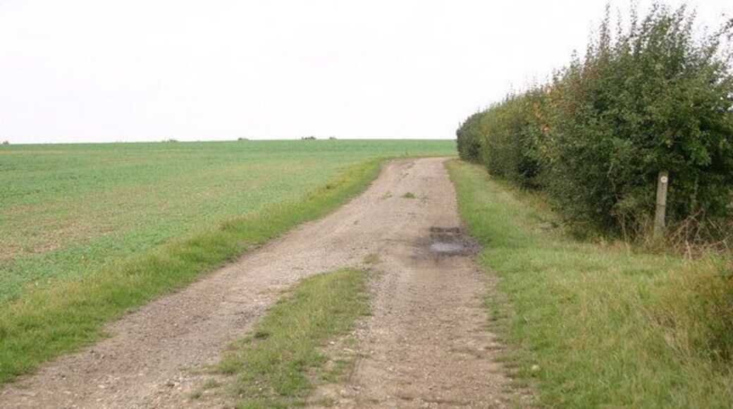 Footpath above Bozen Green Footpath above Bozen Green cuts left to Bozengreen Farm