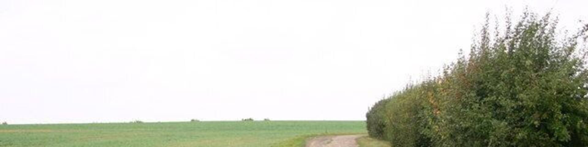 Footpath above Bozen Green Footpath above Bozen Green cuts left to Bozengreen Farm