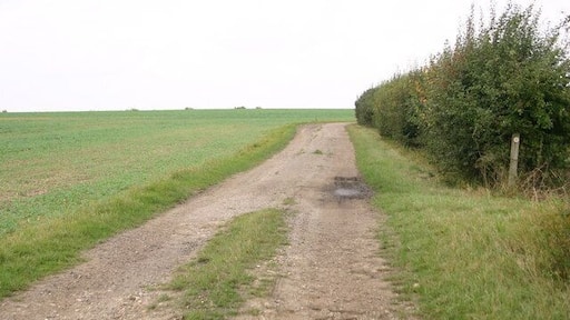 Footpath above Bozen Green Footpath above Bozen Green cuts left to Bozengreen Farm
