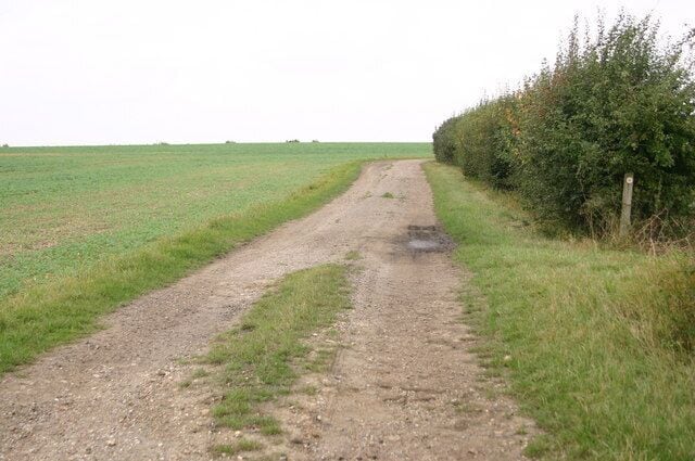 A rural dirt road flanked by fields and bushes.