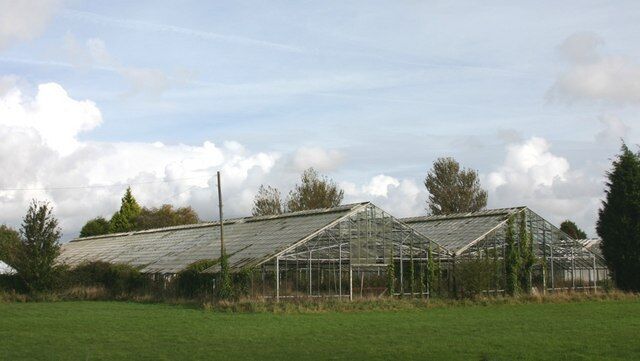 Derelict Greenhouses