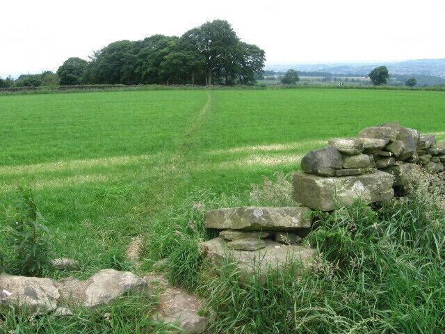 Footpath at Farnley Moor