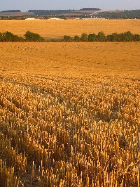 From Bygrave to Baldock. Taken from TL 247 356 looking south towards Baldock across freshly harvested wheat fields. The white section of Weston Hills in the background is where the profile of the hill has been recently restored following construction of a bypass tunnel .