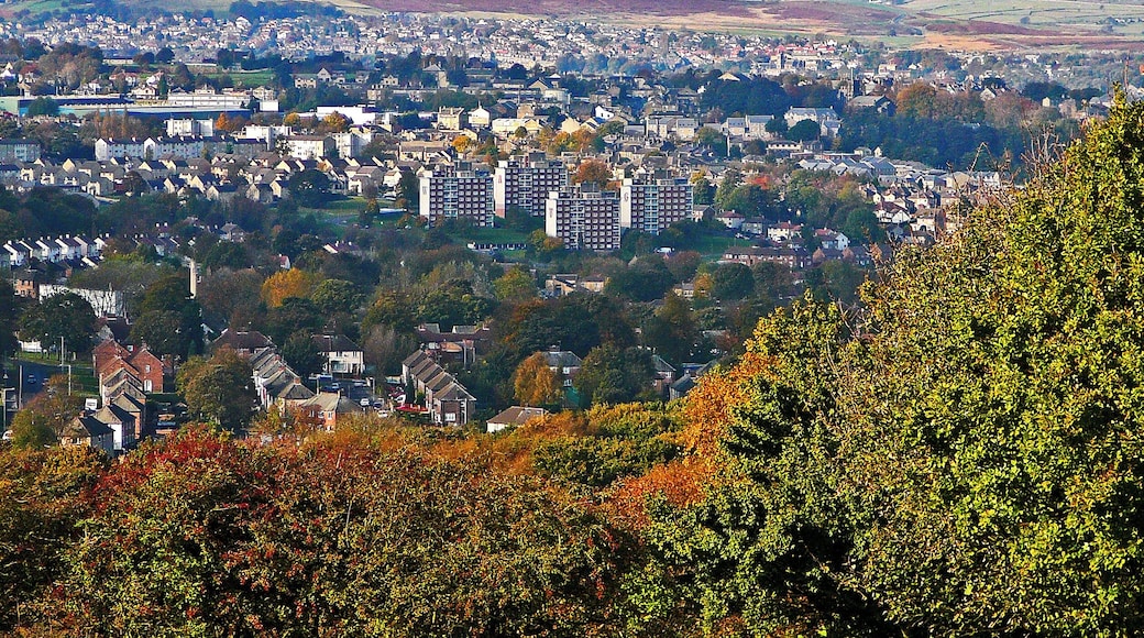 The Thorpe Edge/Greengates area of Bradford, from Calverley