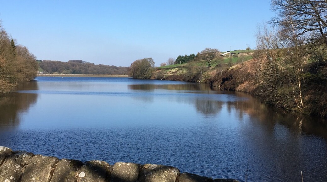 Beautiful place for a quiet stroll