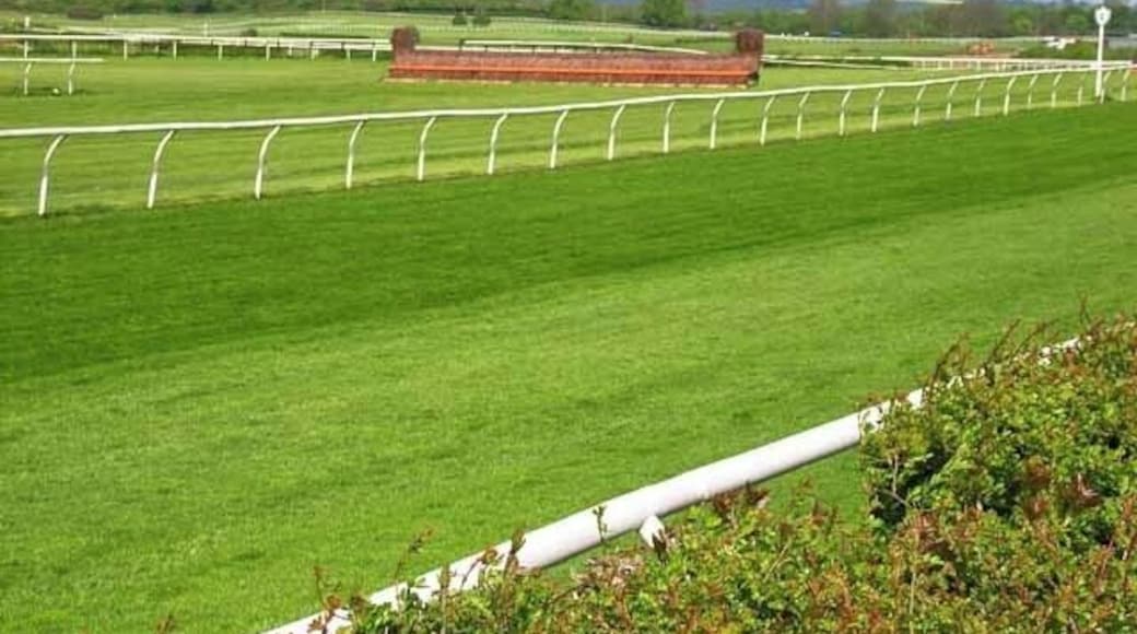 Catterick Racecourse. http://www.catterickbridge.co.uk/ Also the site of a Sunday market.