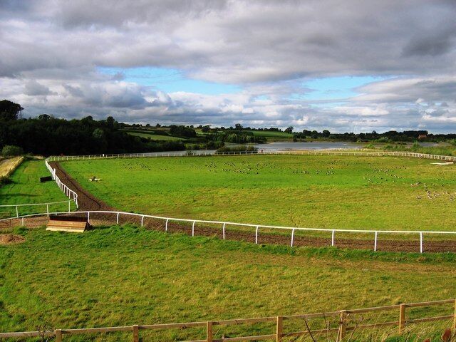 Equestrian Exercise Space Or perhaps it's a racing track for all the Geese! The water in the background is part Tarmac's Scorton Quarry