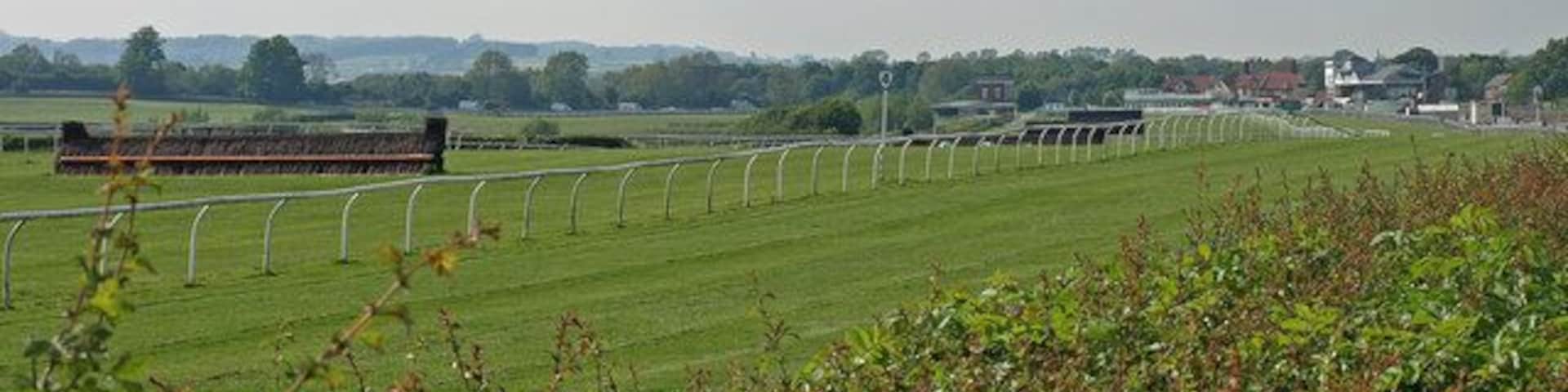 Cattrick Racecourse View over the racecourse from the A6136.