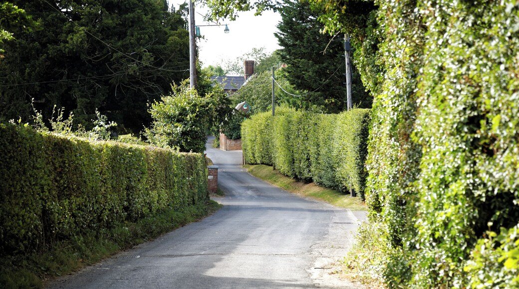 Near the junction of Griffin Hill with Short Street in Chillenden, in the civil parish of Goodnestone and the Dover District of Kent, England. Camera: Canon EOS 6D with Canon EF 24-105mm F4L IS USM lens. Software: RAW file lens-corrected, optimized, perhaps cropped, and converted to JPEG with DxO OpticsPro 11 Elite, and likely further optimized with Adobe Photoshop CS2.