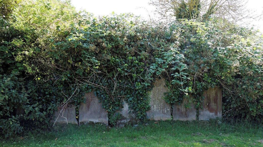 Overgrown relocated gravestones stacked at the southern edge of the churchyard of the Grade II* listed All Saint's Church, which dates between the 12th and 15th century, with later 1871 restoration by George Gilbert Scott, in Chillenden, in the civil parish of Goodnestone and the Dover District of Kent, England. Camera: Canon EOS 6D with Canon EF 24-105mm F4L IS USM lens. Software: RAW file lens-corrected, optimized, perhaps cropped, and converted to JPEG with DxO OpticsPro 11 Elite, and likely further optimized with Adobe Photoshop CS2.