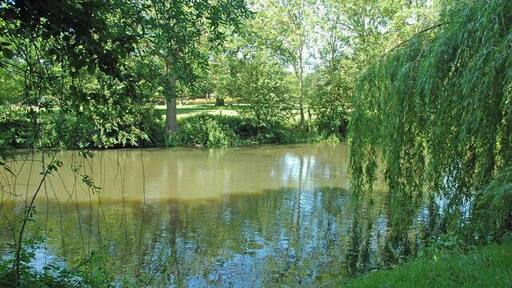 Conington duck pond Duck pond in the grounds of Conington Hall on the north-west edge of Conington, Cambridgeshire.