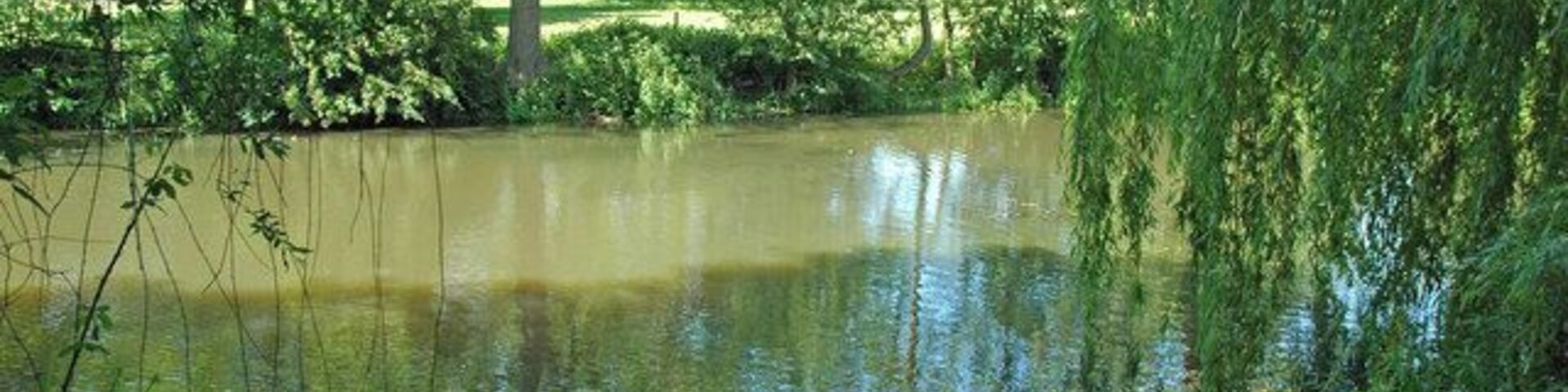 Conington duck pond Duck pond in the grounds of Conington Hall on the north-west edge of Conington, Cambridgeshire.